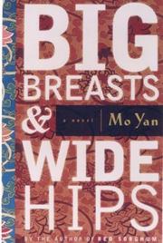 Cover of Big Breasts and Wide Hips